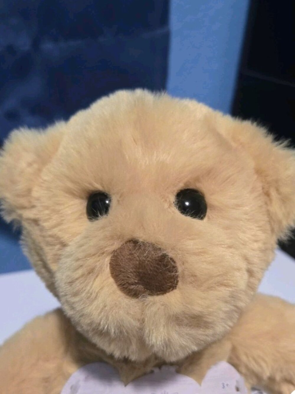 World's Softest Plush 10 inch Teddy Bear Tan Brown Stuffed Animal